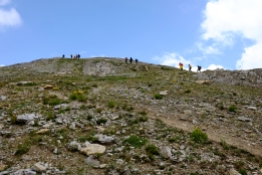 第二座山頭約40分鐘的陡上(八月上旬)